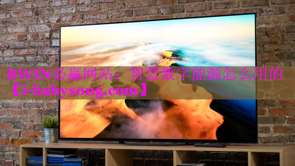 BWIN必赢网站：智慧数字能源怎么用的