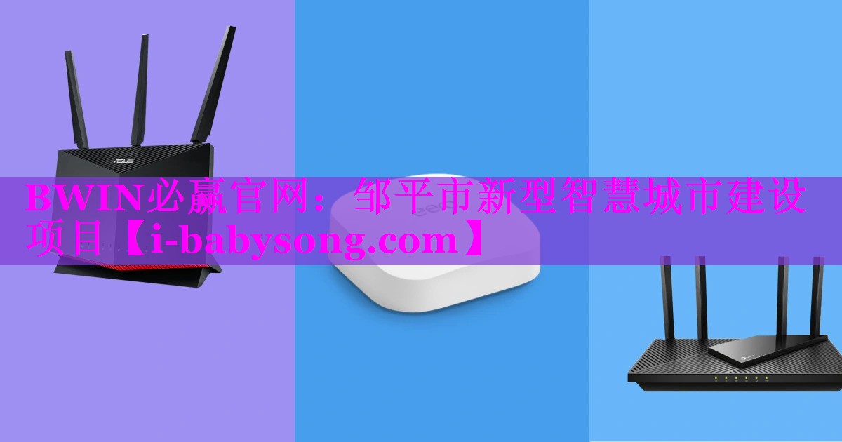 BWIN必赢官网：邹平市新型智慧城市建设项目