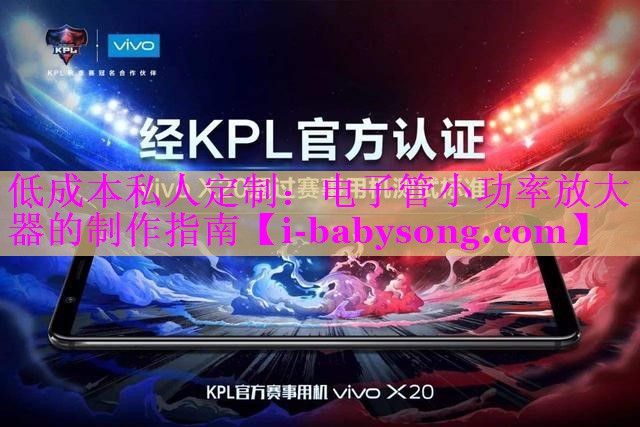 低成本私人定制：电子管小功率放大器的制作指南