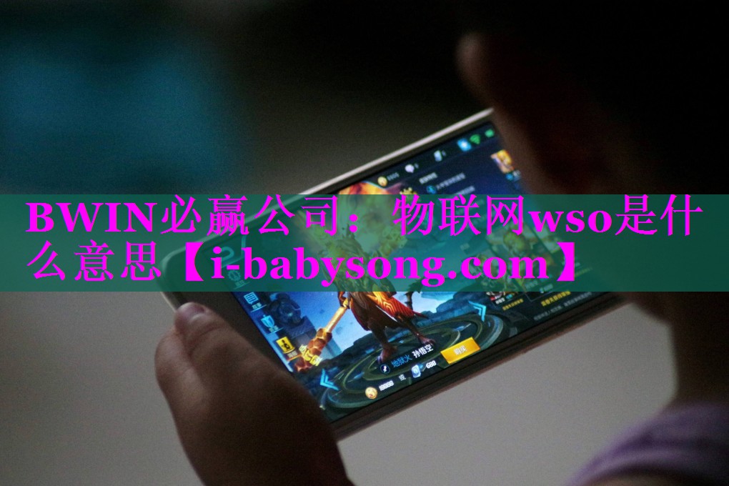 BWIN必赢公司：物联网wso是什么意思