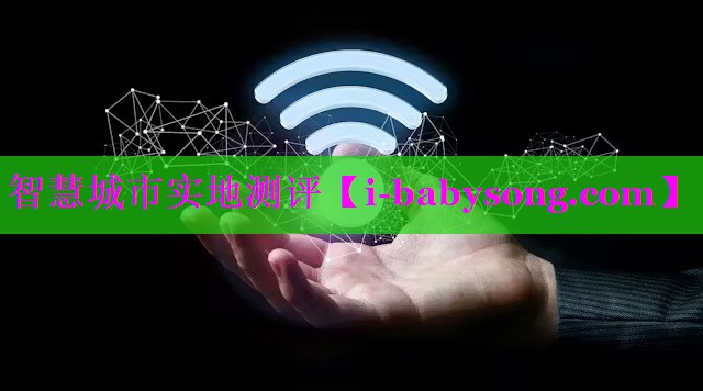 智慧城市实地测评