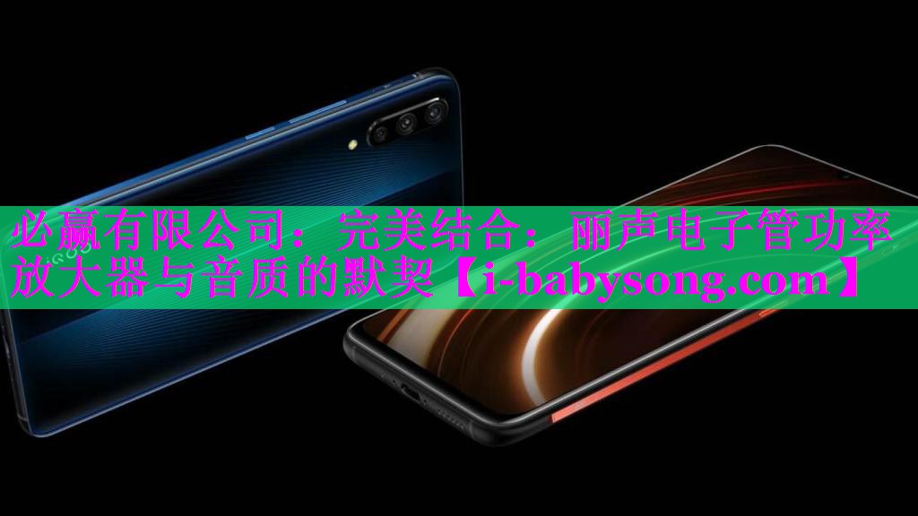 必赢有限公司：完美结合：丽声电子管功率放大器与音质的默契
