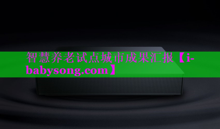 智慧养老试点城市成果汇报 智慧养老试点城市成果汇报