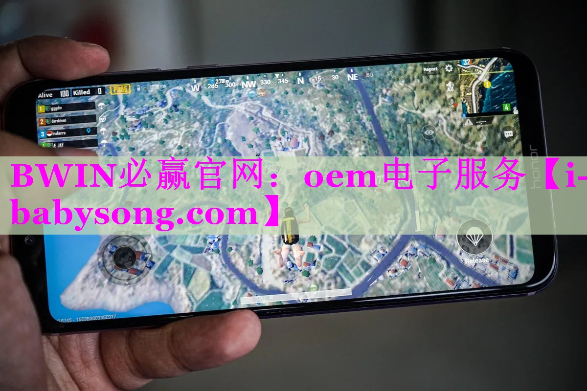 oem电子服务 oem电子服务