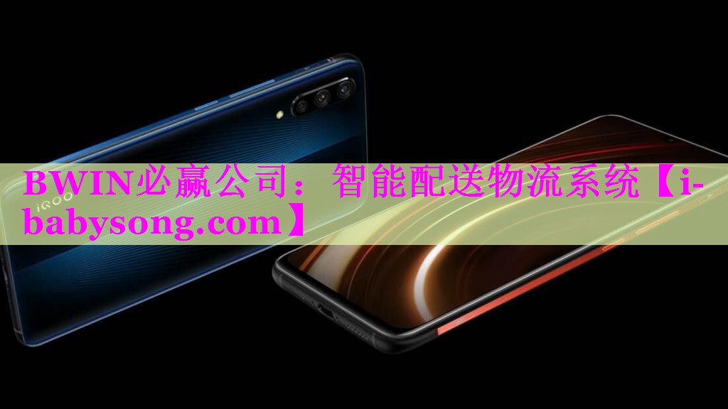 智能配送物流系统 智能配送物流系统