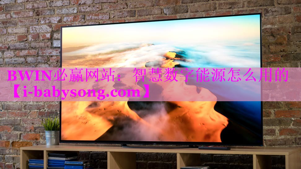 智慧数字能源怎么用的 智慧数字能源怎么用的