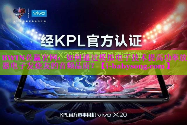 如何通过模拟电子技术提高功率放大器电子发烧友的音频品质? 如何通过模拟电子技术提高功率放大器电子发烧友的音频品质?