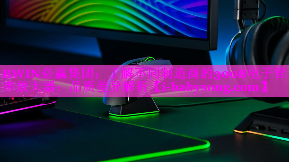 了解不同制造商的300B电子管功率放大器:品质差异解析 了解不同制造商的300B电子管功率放大器:品质差异解析