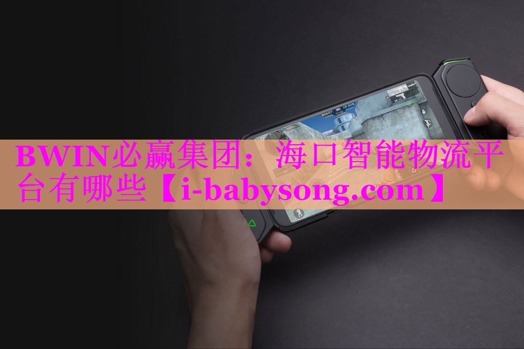 海口智能物流平台有哪些 海口智能物流平台有哪些