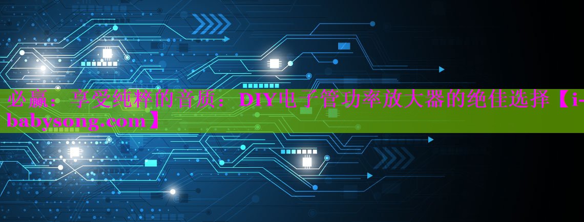 享受纯粹的音质:DIY电子管功率放大器的绝佳选择 享受纯粹的音质:DIY电子管功率放大器的绝佳选择
