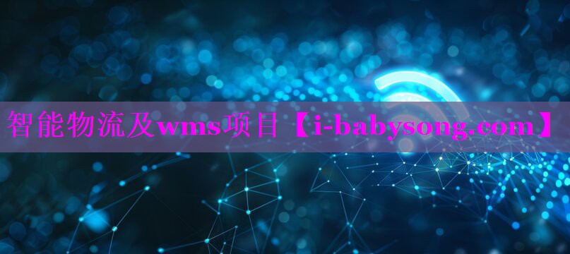 智能物流及wms项目 智能物流及wms项目