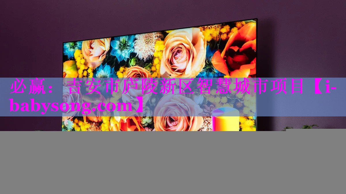 吉安市庐陵新区智慧城市项目 吉安市庐陵新区智慧城市项目