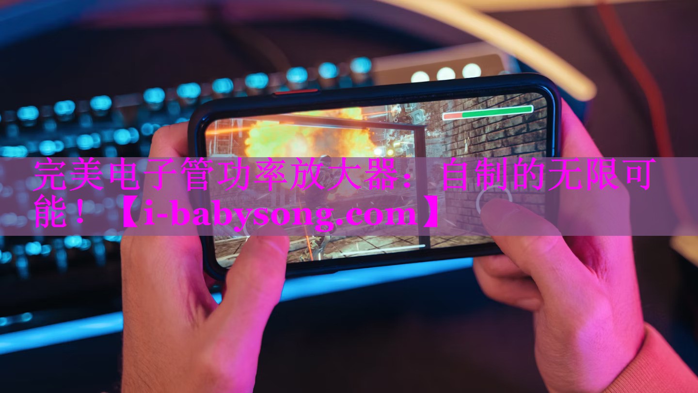 完美电子管功率放大器:自制的无限可能! 完美电子管功率放大器:自制的无限可能!