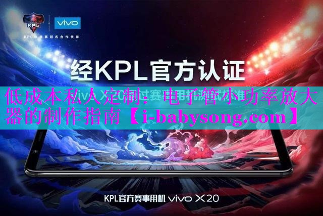 低成本私人定制：电子管小功率放大器的制作指南