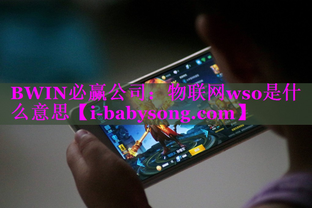 物联网wso是什么意思 物联网wso是什么意思