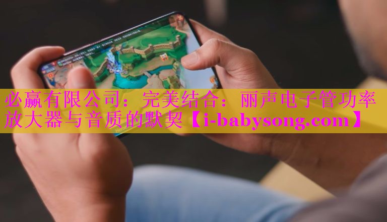 完美结合：丽声电子管功率放大器与音质的默契