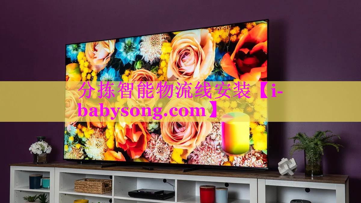 分拣智能物流线安装