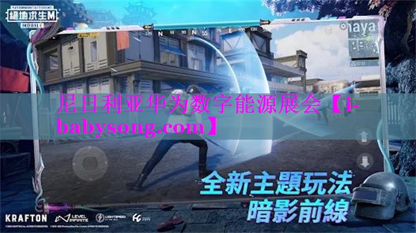 尼日利亚华为数字能源展会