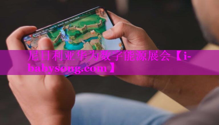 尼日利亚华为数字能源展会