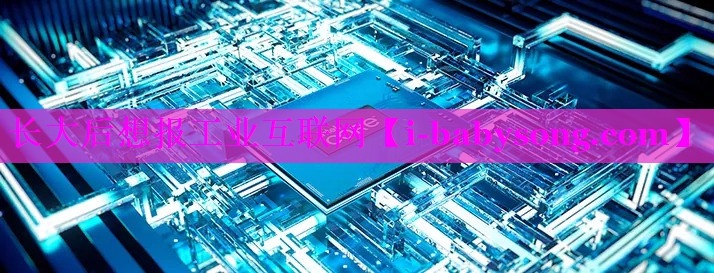 长大后想报工业互联网