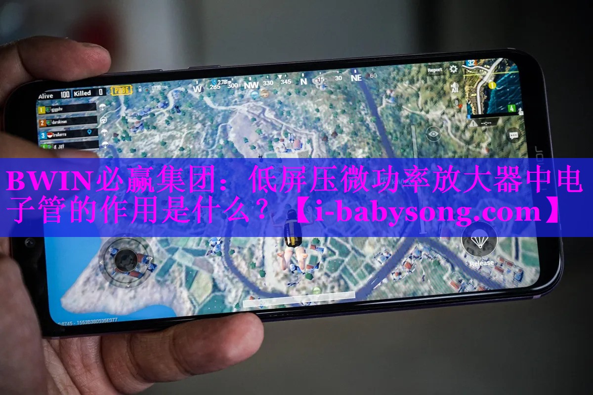 低屏压微功率放大器中电子管的作用是什么? 低屏压微功率放大器中电子管的作用是什么?